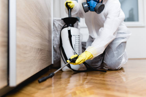 Best Exterminator Services  in Staunton, IL