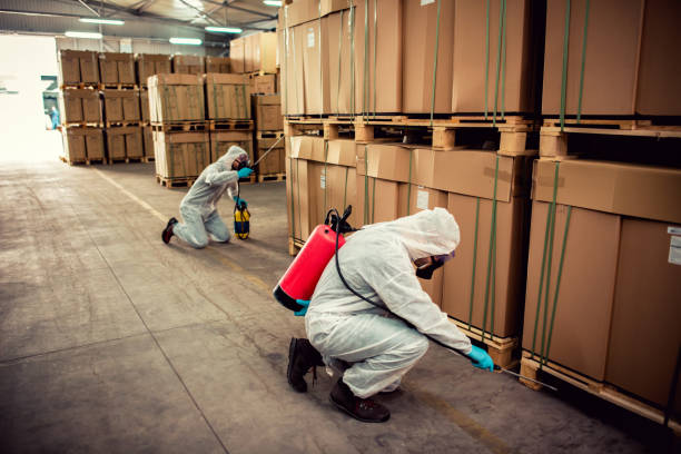 Best Mosquito Control Services  in Staunton, IL
