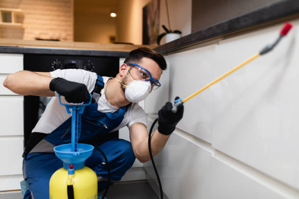 Flea Control Services in Staunton, IL