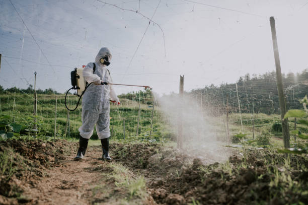 Best Pest Control for Homes  in Staunton, IL