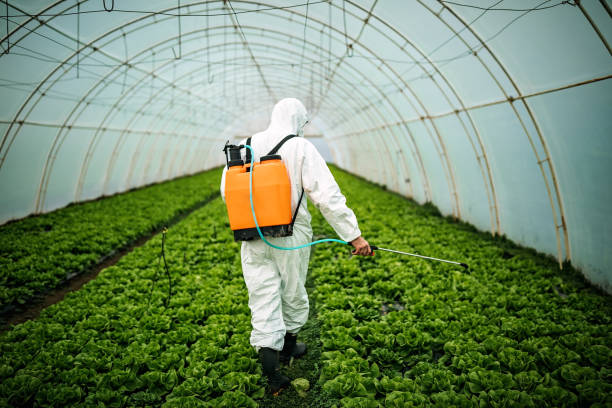 Best Commercial Pest Control Services  in Staunton, IL