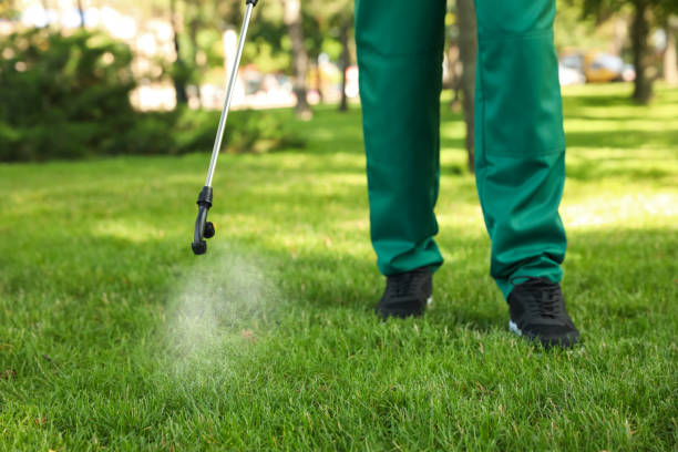 Best Pest Prevention Services  in Staunton, IL