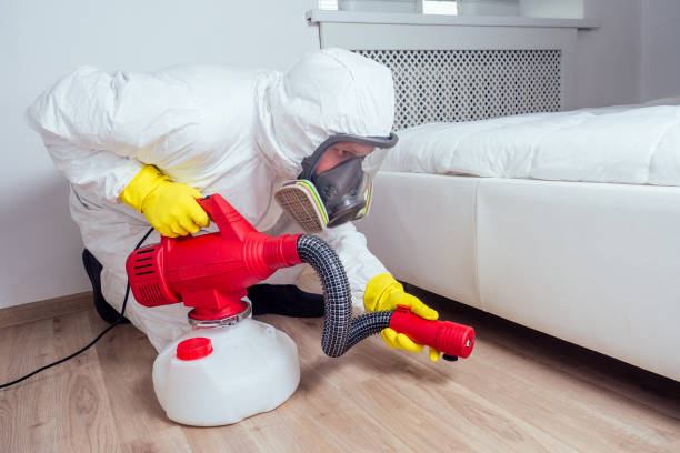 Best Flea Control Services  in Staunton, IL