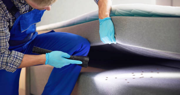Best Bed Bug Extermination  in Staunton, IL