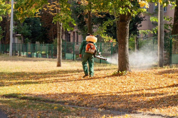 Best Wildlife Control Services  in Staunton, IL
